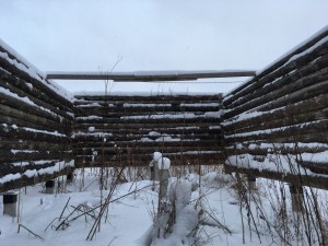 Пять лет гниет сруб - 1VogTJZm4Bk.jpg