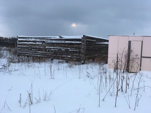 Пять лет гниет сруб - Z8alknpDy4E.jpg