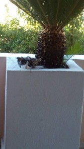 Отдых  - IMG_20190602_191832.jpg