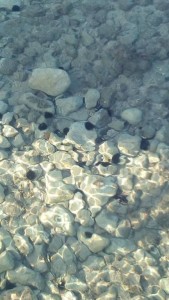 Отдых  - IMG_20190602_191629.jpg