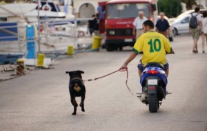 Отдых  - IMG_20190602_192628.jpg