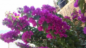 Отдых  - IMG_20190602_193332.jpg