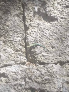 Отдых  - IMG_20190602_194727.jpg