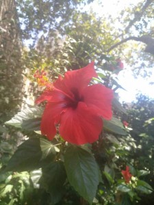 Отдых  - IMG_20190602_194705.jpg