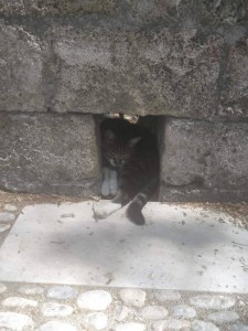 Отдых  - IMG_20190602_194709.jpg