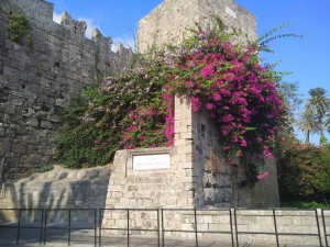 Отдых  - IMG_20190602_194624.jpg