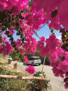 Отдых  - IMG_20190602_194700.jpg