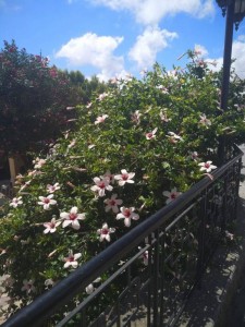 Отдых  - IMG_20190602_194548.jpg