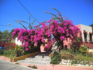 Отдых  - IMG_20190602_194537.jpg