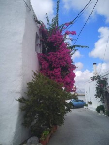 Отдых  - IMG_20190602_194555.jpg