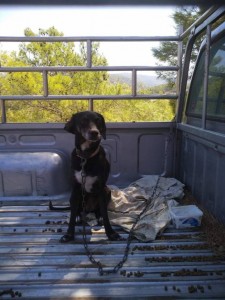 Отдых  - IMG_20190602_194542.jpg