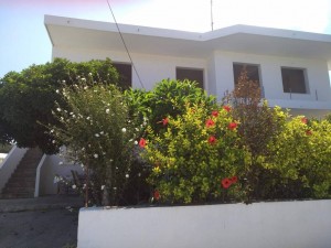 Отдых  - IMG_20190602_194506.jpg