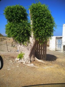 Отдых  - IMG_20190602_194501.jpg