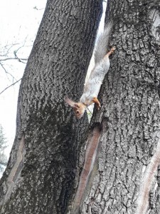 Отдых  - 20190430_163035.jpg