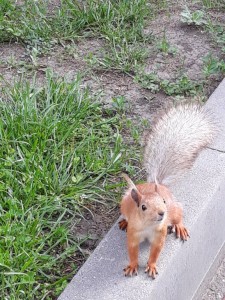 Отдых  - 20190512_071845.jpg