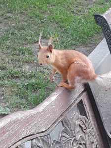 Отдых  - 20190512_071850.jpg