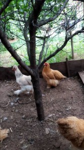 Помощь - IMG_20190602_173947.jpg