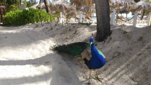 Помощь - IMG_20190611_092808.jpg