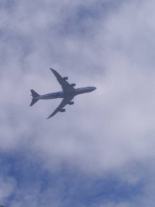 Негде жить с детьми - IMG_20190623_130757.jpg