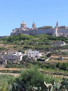 Негде жить с детьми - FB_IMG_1561242655846.jpg