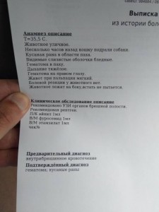 Помогите пожалуйста Чернышке  - 1.jpg