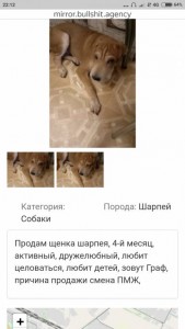 Прошу о помощи - Screenshot_2019-08-06-22-12-43-538_ru.yandex.searchplugin.jpg