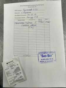 У пса отказывали лапы, долг перед клиникой - IMG_20190805_004923.jpg