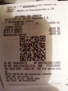 У пса отказывали лапы, долг перед клиникой - SAVE_20190806_242042.jpeg