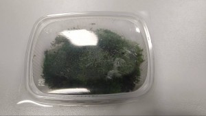 Мастер-класс: заработок на дому без вложений - IMG_20190811_160043.jpg