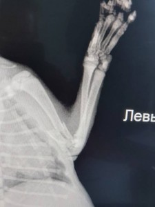 Срочно нужна помощь для операции бездомному котенку - 20190914_184759.jpg