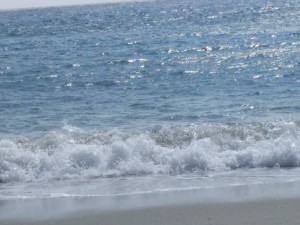 Всем прю  - IMG_20190913_112627.jpg