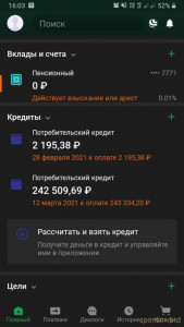 Помогите погасить кредит - Screenshot_20210228-160341.jpg