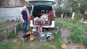 Помогите кто чем сможет на корм животным  - VideoCapture_20220702-143704.jpg