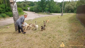 Помогите кто чем сможет на корм животным  - VideoCapture_20220707-222323.jpg