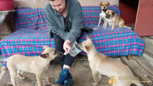 Помогите кто чем сможет на корм животным  - VideoCapture_20220703-105759.jpg