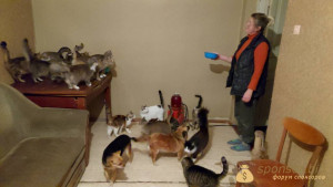 Помогите кто чем сможет на корм животным  - VideoCapture_20220403-200343.jpg