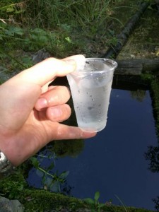 Баня на родниках - IMG_20170820_150449.jpg