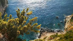 Хочу подарить всем красоту - Screenshot_2018-08-15-20-40-58-003_com.google.android.youtube.png