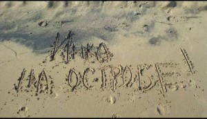 Хочу подарить всем красоту - IMG_20180815_212556.jpg